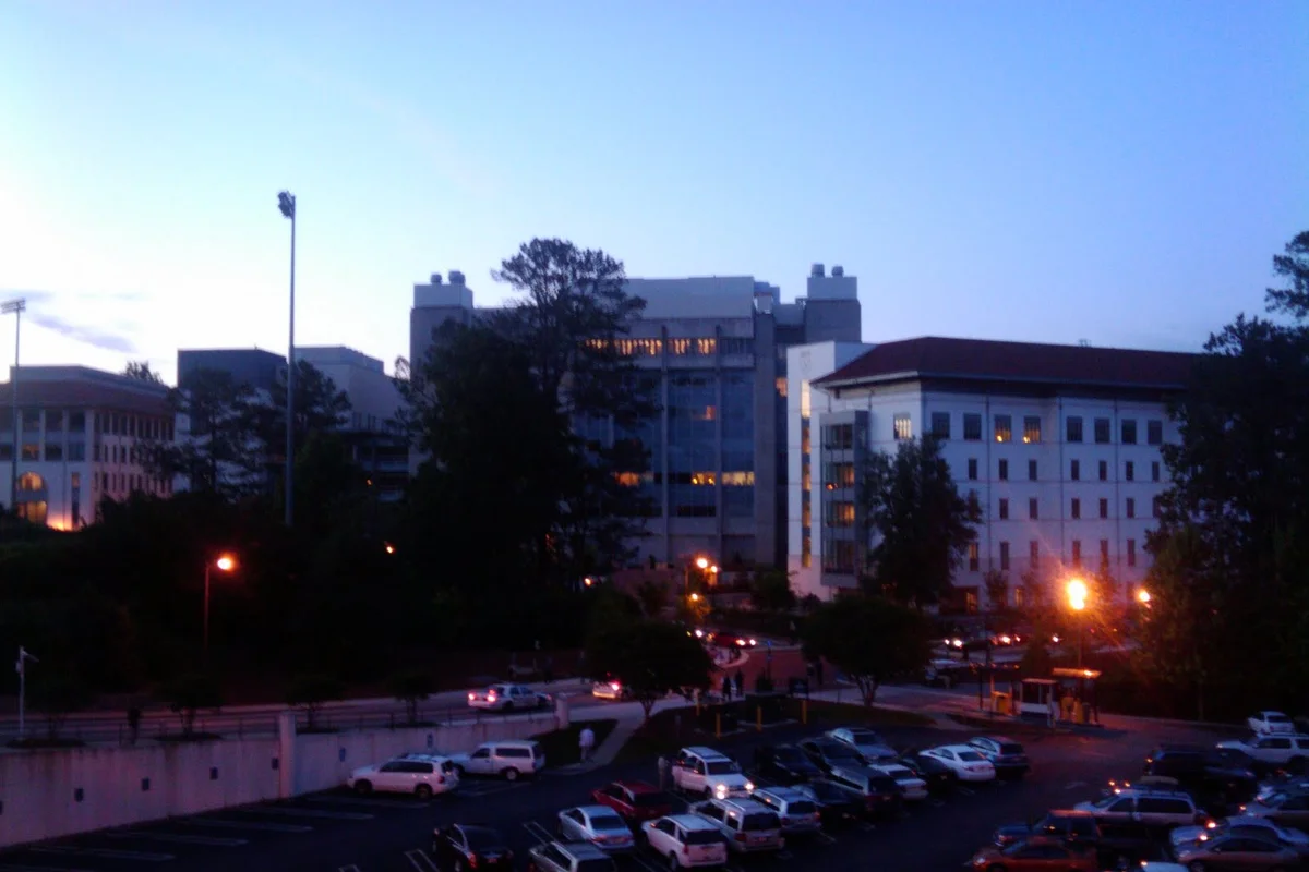Tree-lined street in the Druid Hills neighborhood near Atlanta