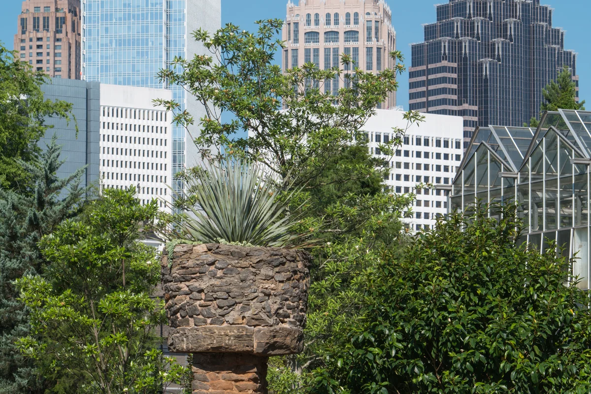 Midtown Atlanta skyline view from the Atlanta Botanical Garden