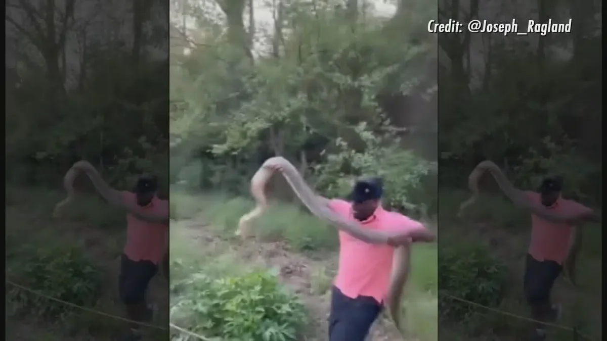 Large snake being handled by person along Atlanta BeltLine trail